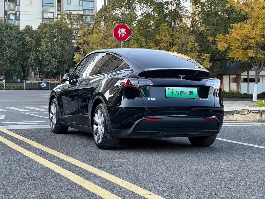 Tesla Model Y — фото 8