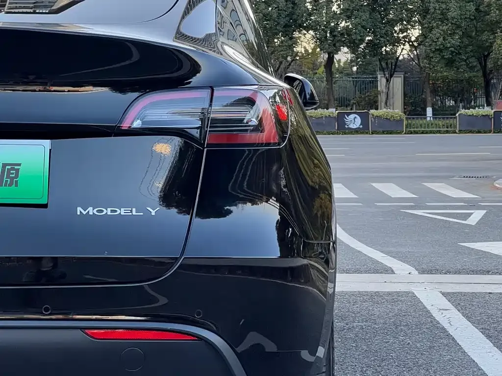 Tesla Model Y — фото 2