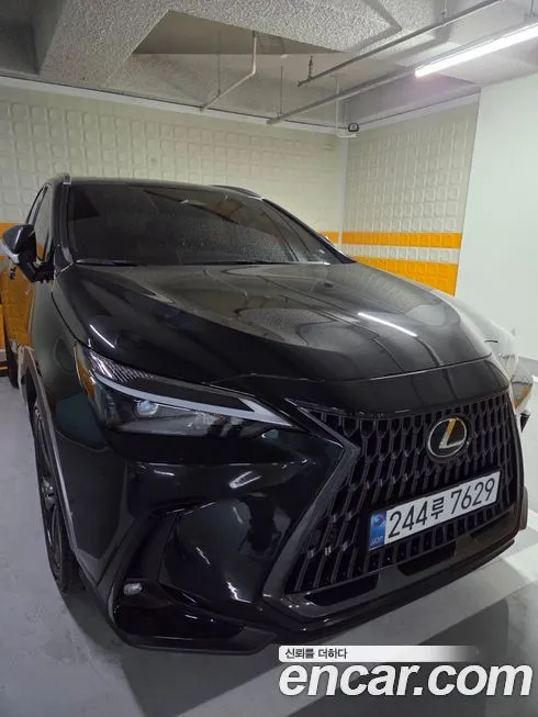 Lexus NX 2025 из KR, фото 1
