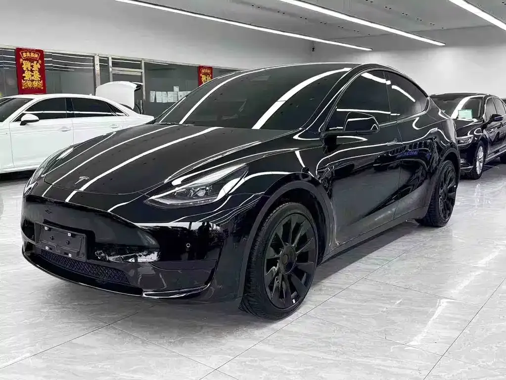 Tesla Model Y 2021 из CN, фото 1
