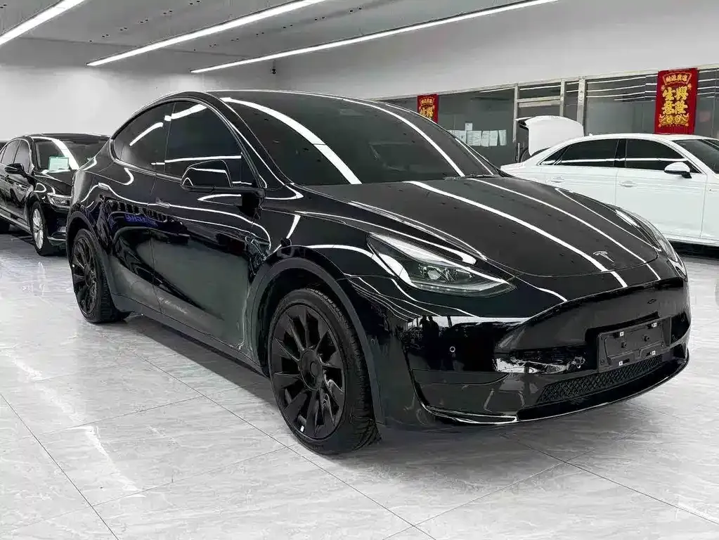 Tesla Model Y 2021 из CN, фото 6