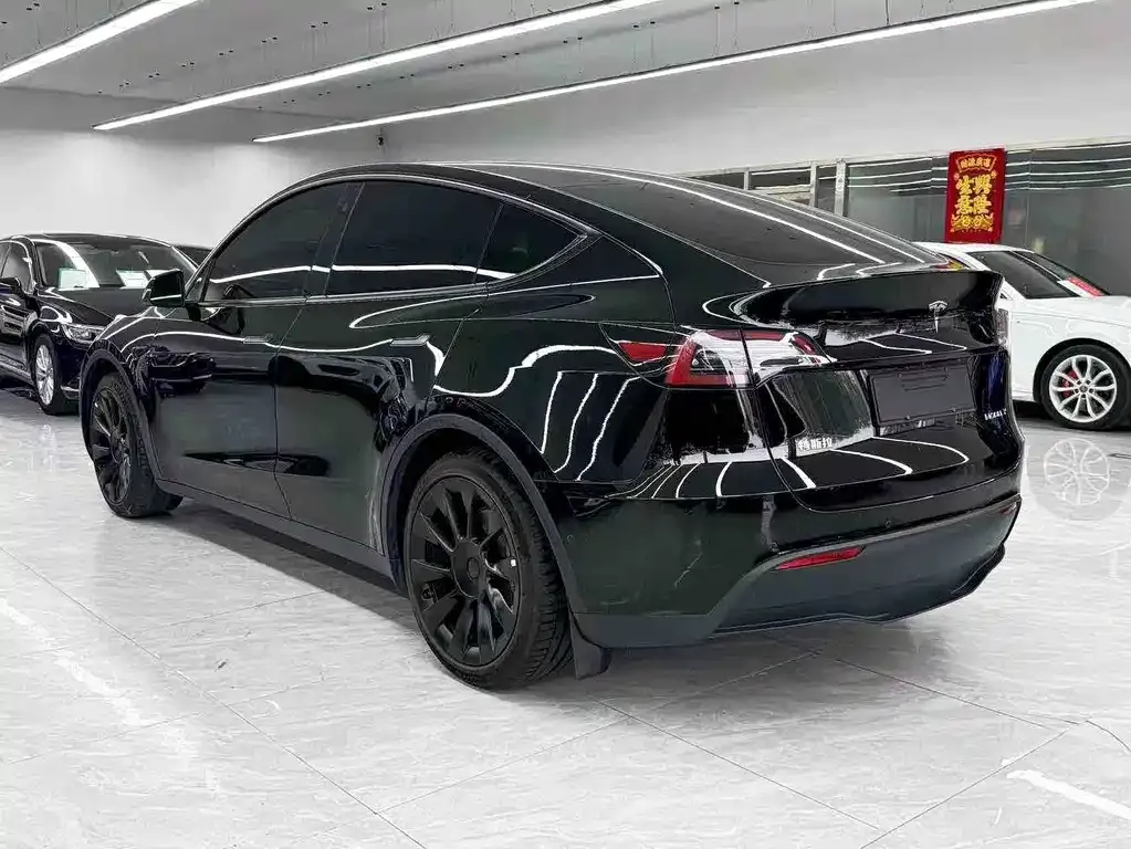 Tesla Model Y 2021 из CN, фото 2