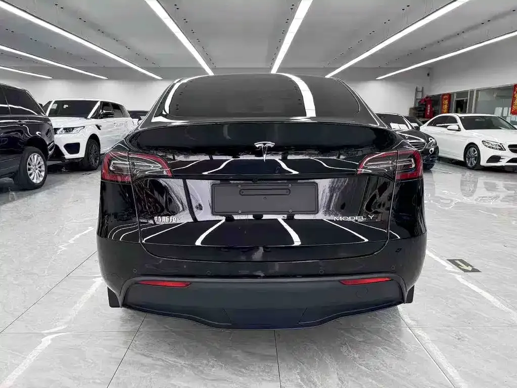 Tesla Model Y 2021 из CN, фото 8