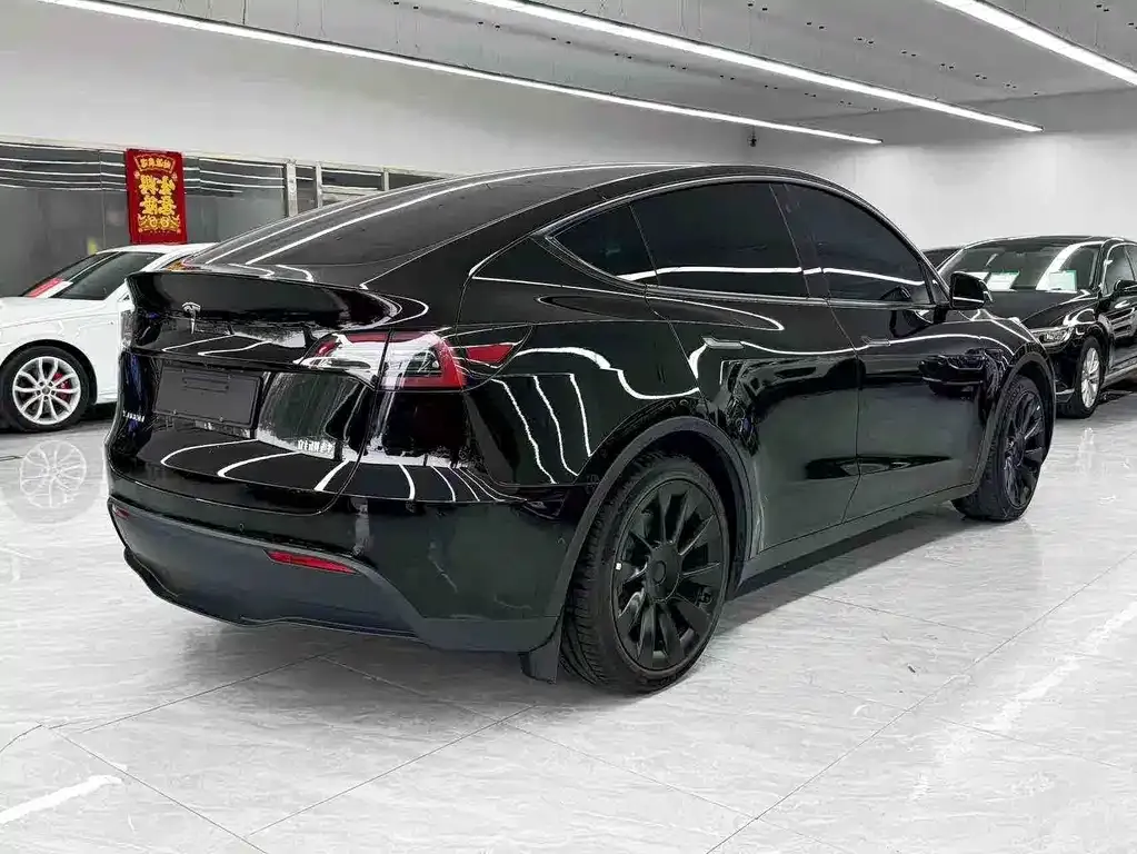 Tesla Model Y 2021 из CN, фото 7