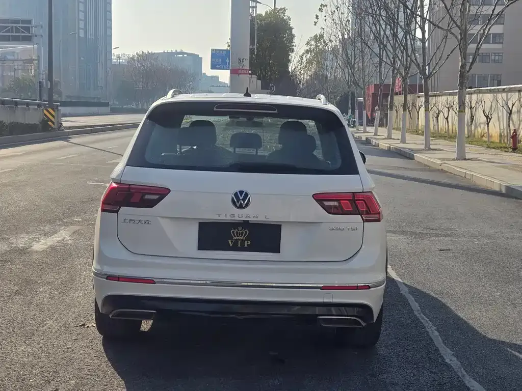 Volkswagen Tiguan L 2021 из CN, фото 5