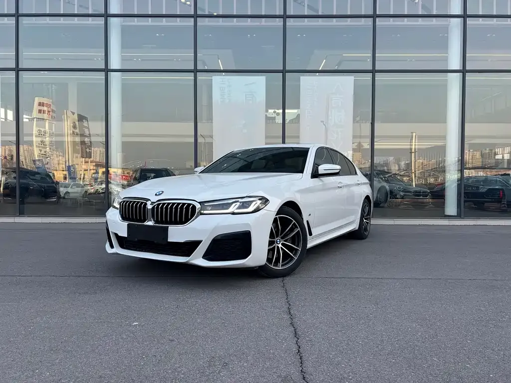 BMW 5 Series (Import) 2021 из CN, фото 1