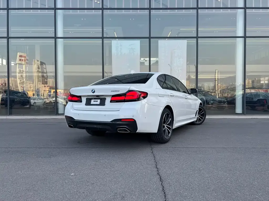 BMW 5 Series (Import) 2021 из CN, фото 6