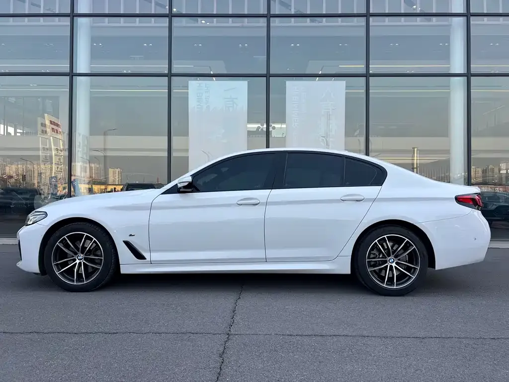 BMW 5 Series (Import) 2021 из CN, фото 5
