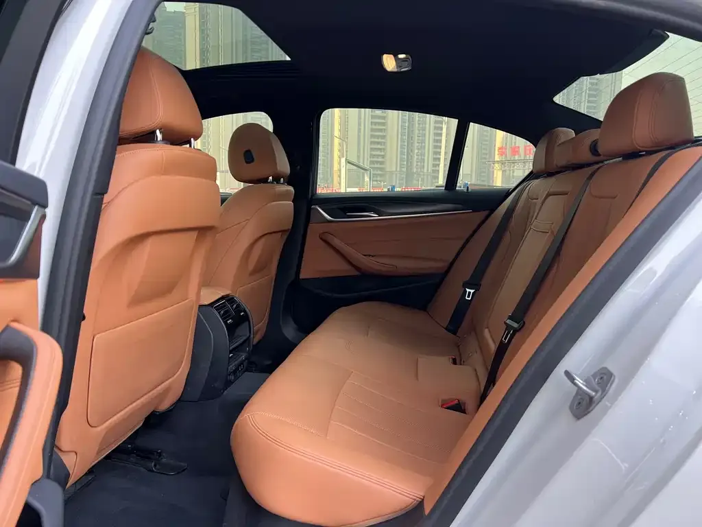 BMW 5 Series (Import) 2021 из CN, фото 2