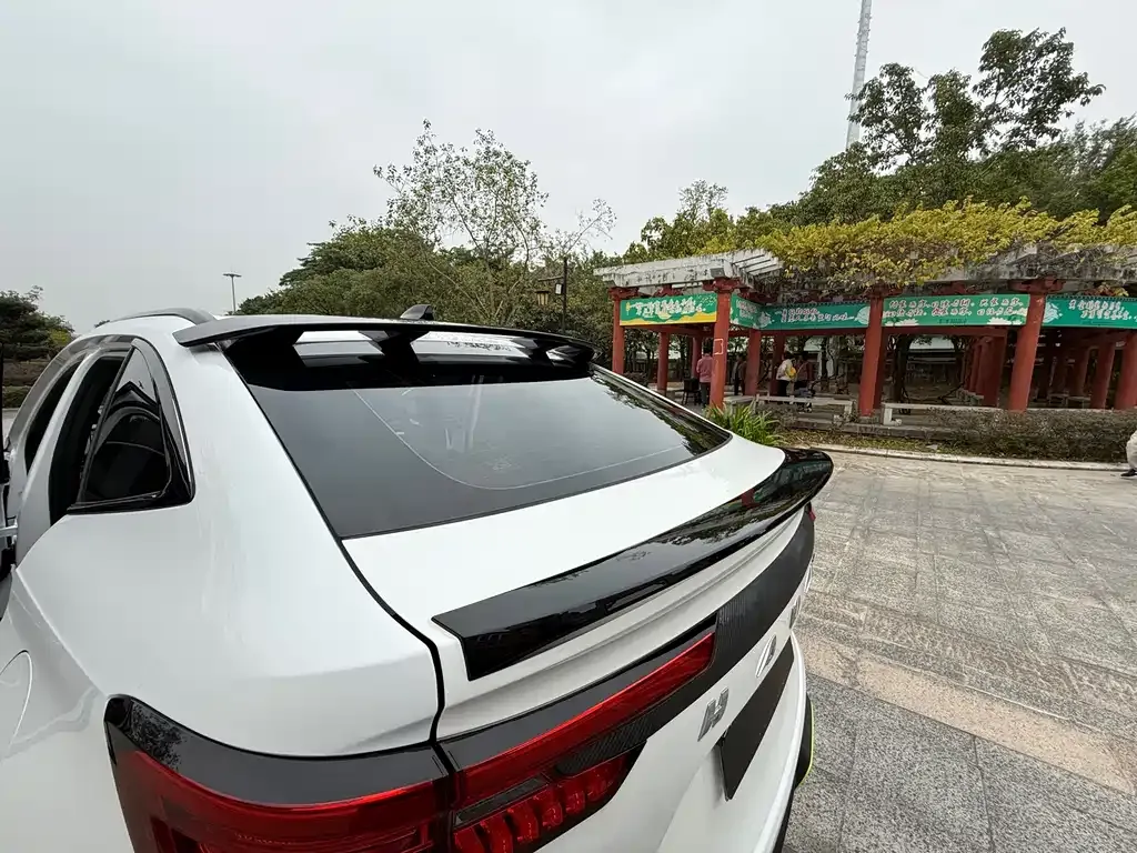 Haval H6S 2021 из CN, фото 10