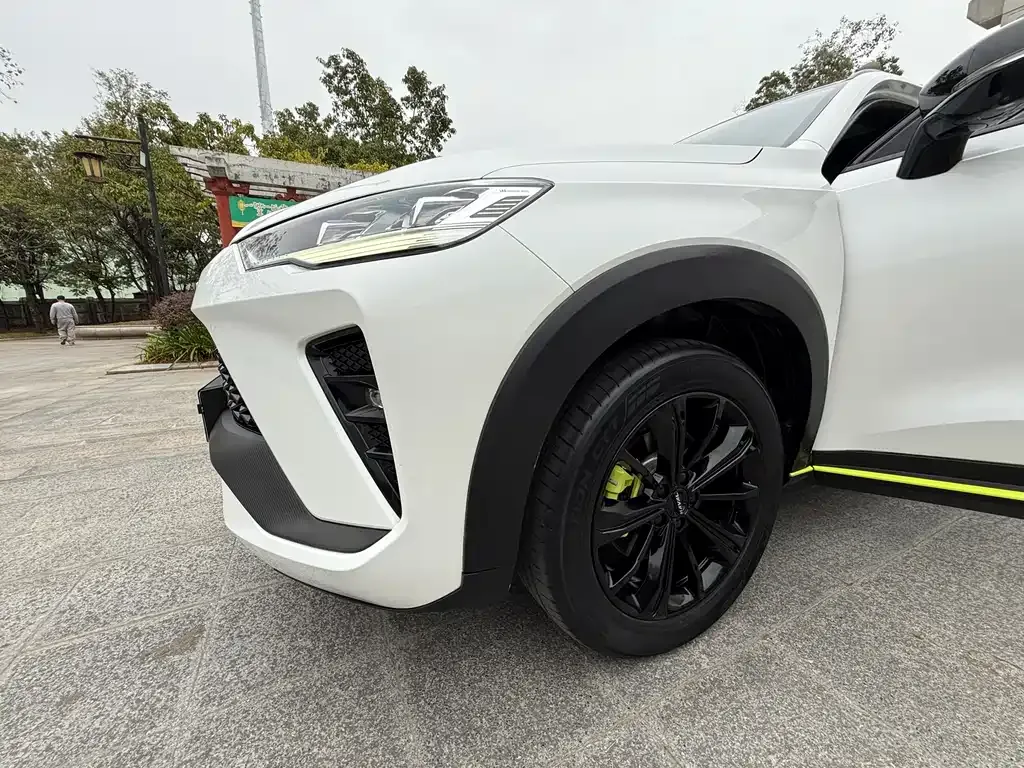 Haval H6S 2021 из CN, фото 5