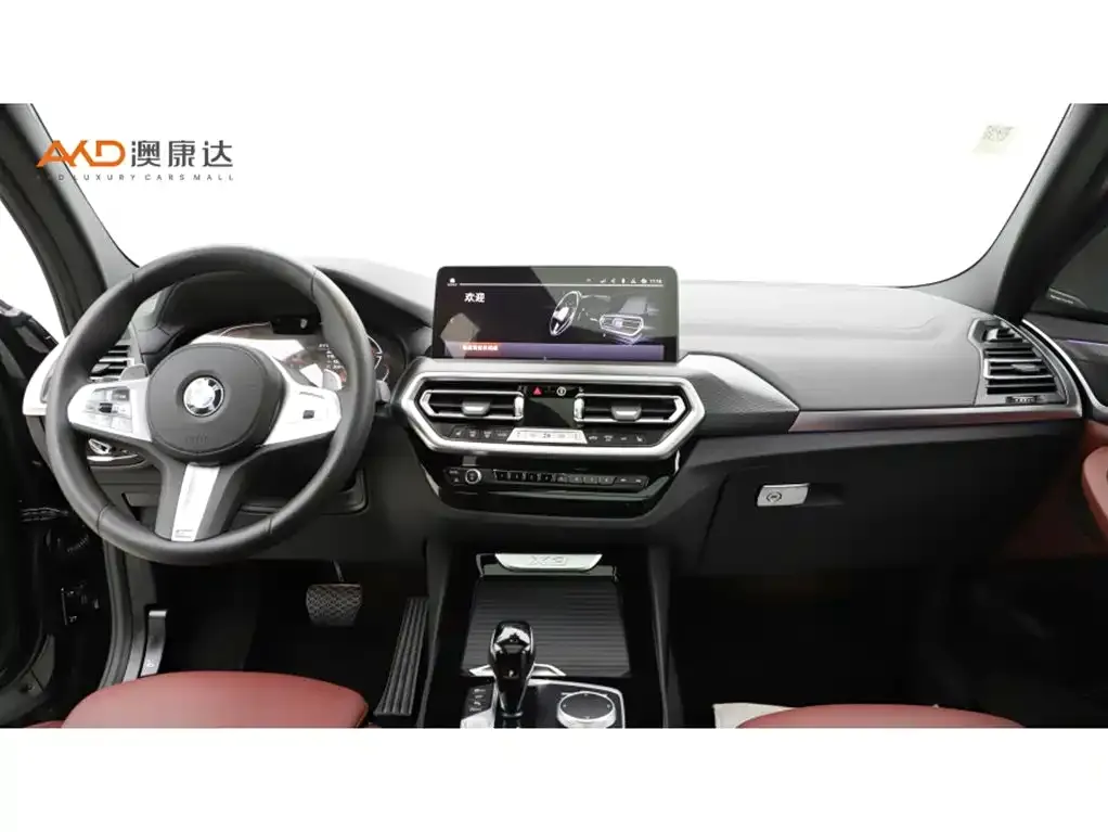 BMW X3 2024 из CN, фото 6