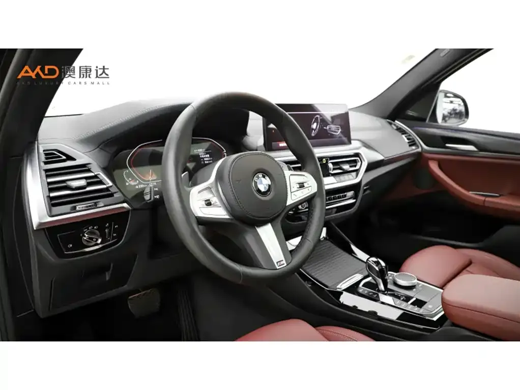 BMW X3 2024 из CN, фото 10