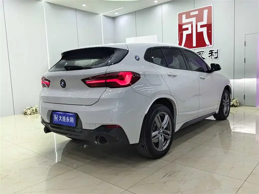 BMW X2 2024 из CN, фото 5