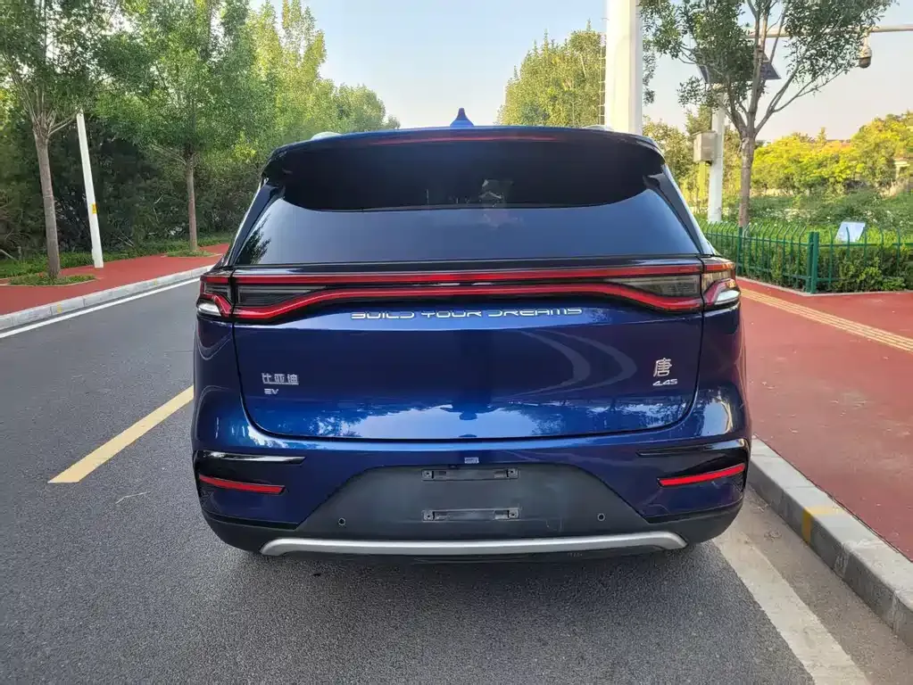 BYD Tang New Energy 2022 из CN, фото 5