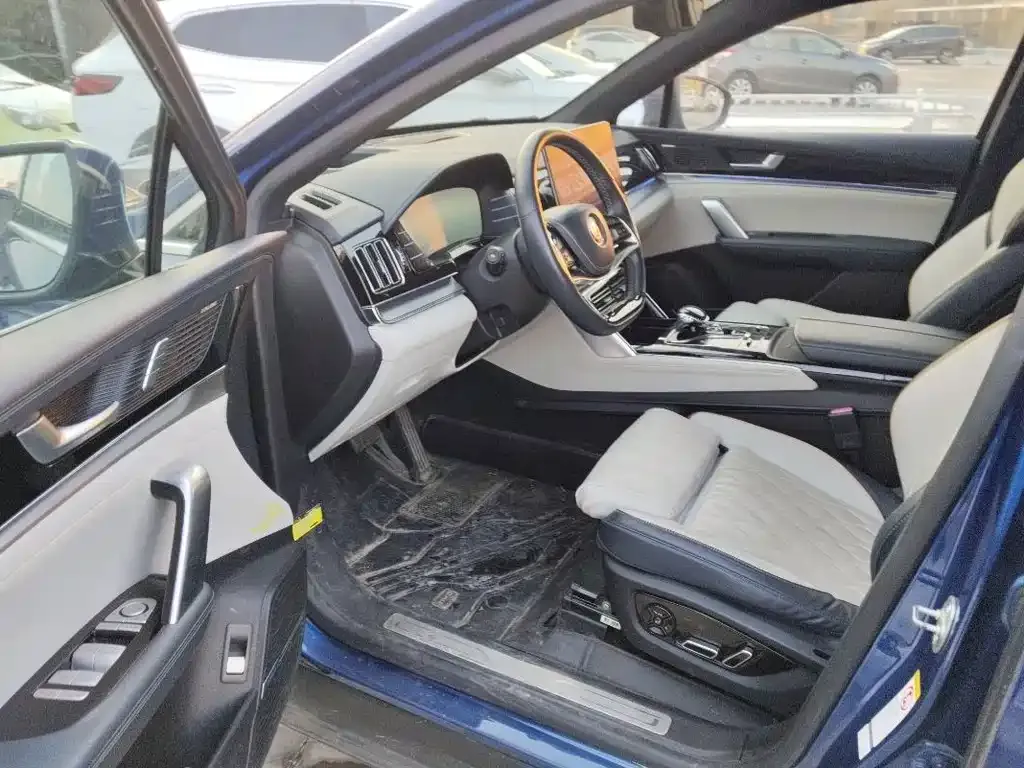 BYD Tang New Energy 2022 из CN, фото 6