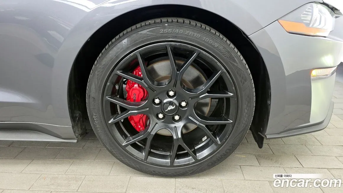 Ford Mustang 2021 из KR, фото 9