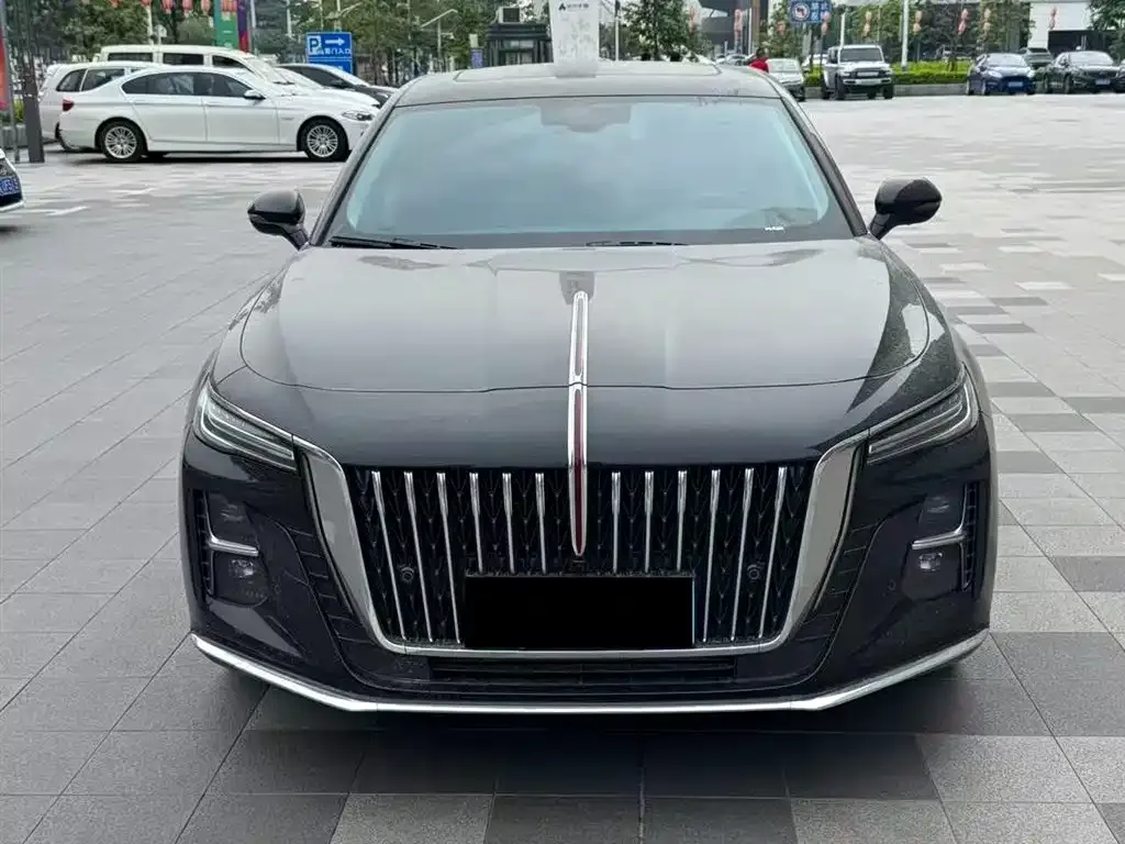 Hongqi H5 2023 из CN, фото 4