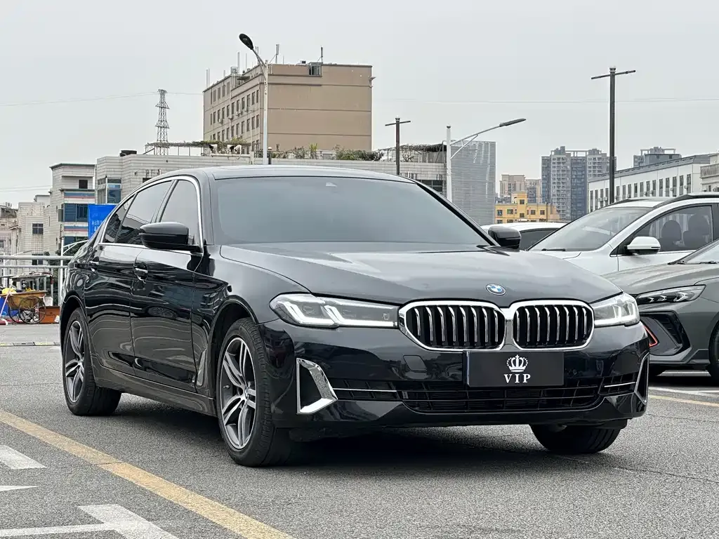 BMW 5 Series 2022 из CN, фото 9