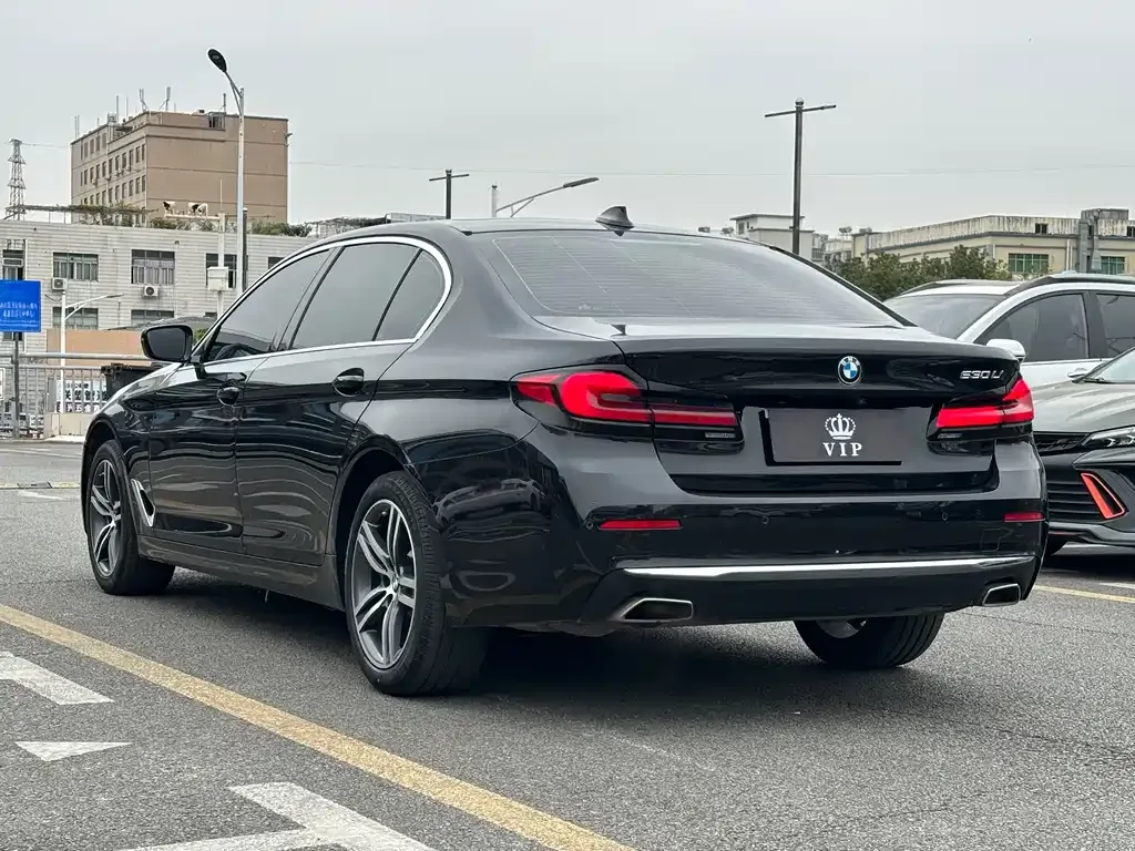 BMW 5 Series 2022 из CN, фото 6