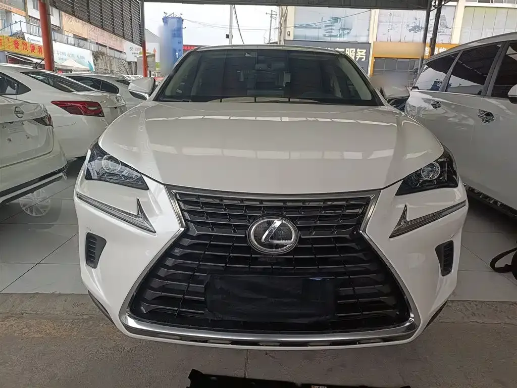 Lexus NX 2021 из CN, фото 7