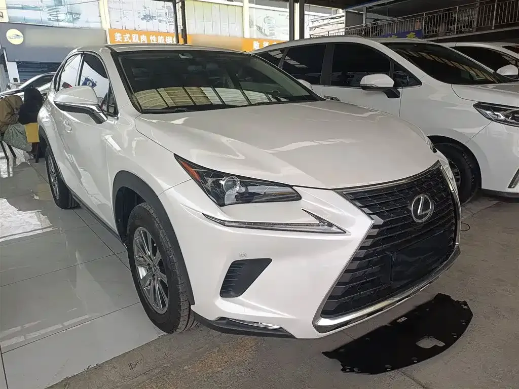 Lexus NX 2021 из CN, фото 3