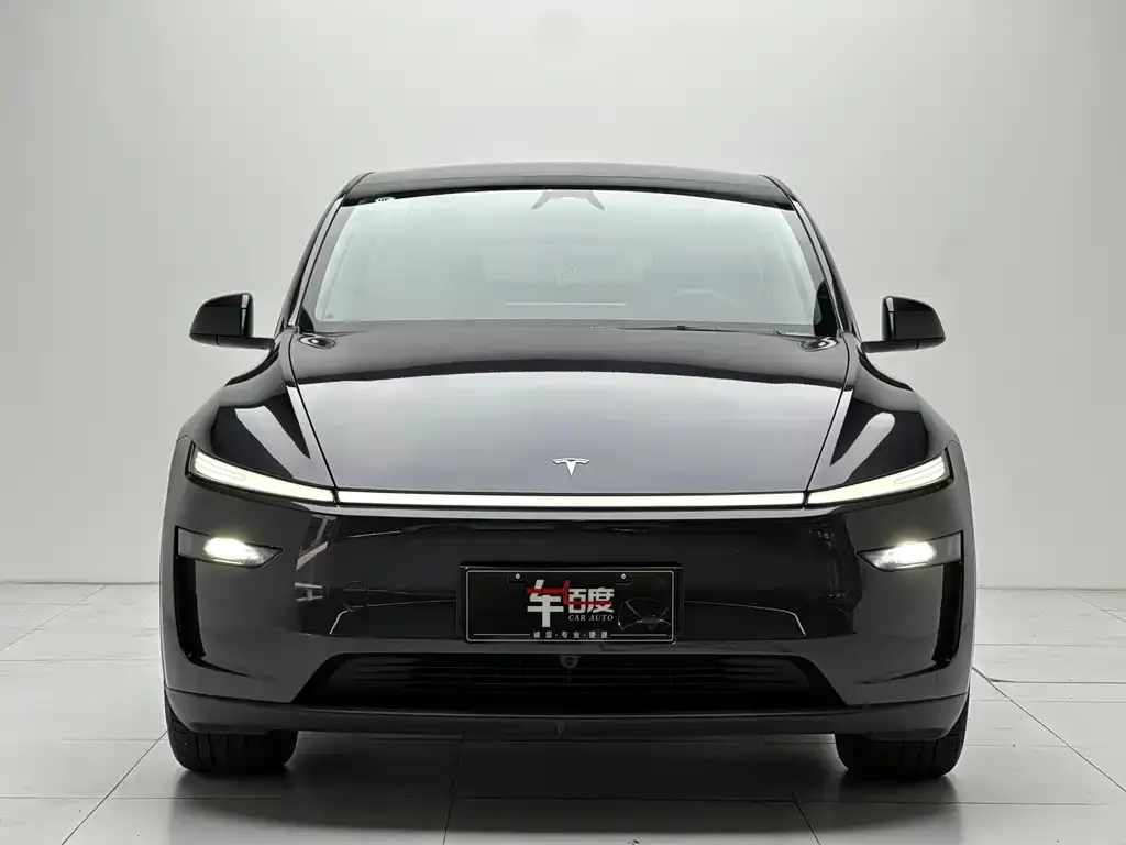 Tesla Model Y 2025 из CN, фото 5