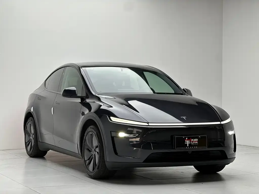 Tesla Model Y 2025 из CN, фото 2