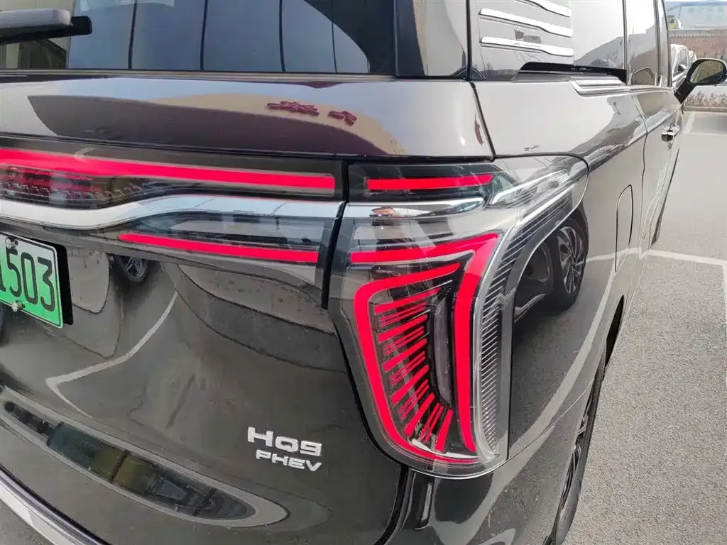 Hongqi HQ9 PHEV 2024 из CN, фото 5