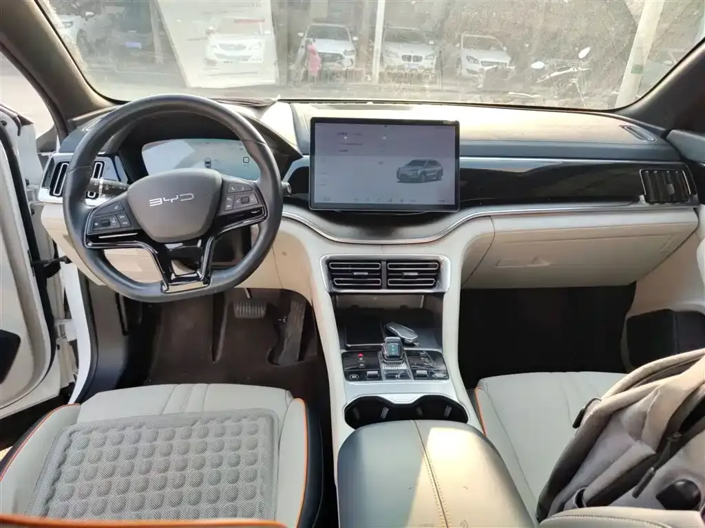 BYD PLUS New Energy 2024 из CN, фото 4