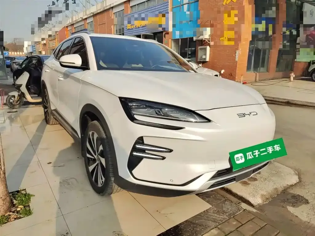 BYD PLUS New Energy 2024 из CN, фото 8