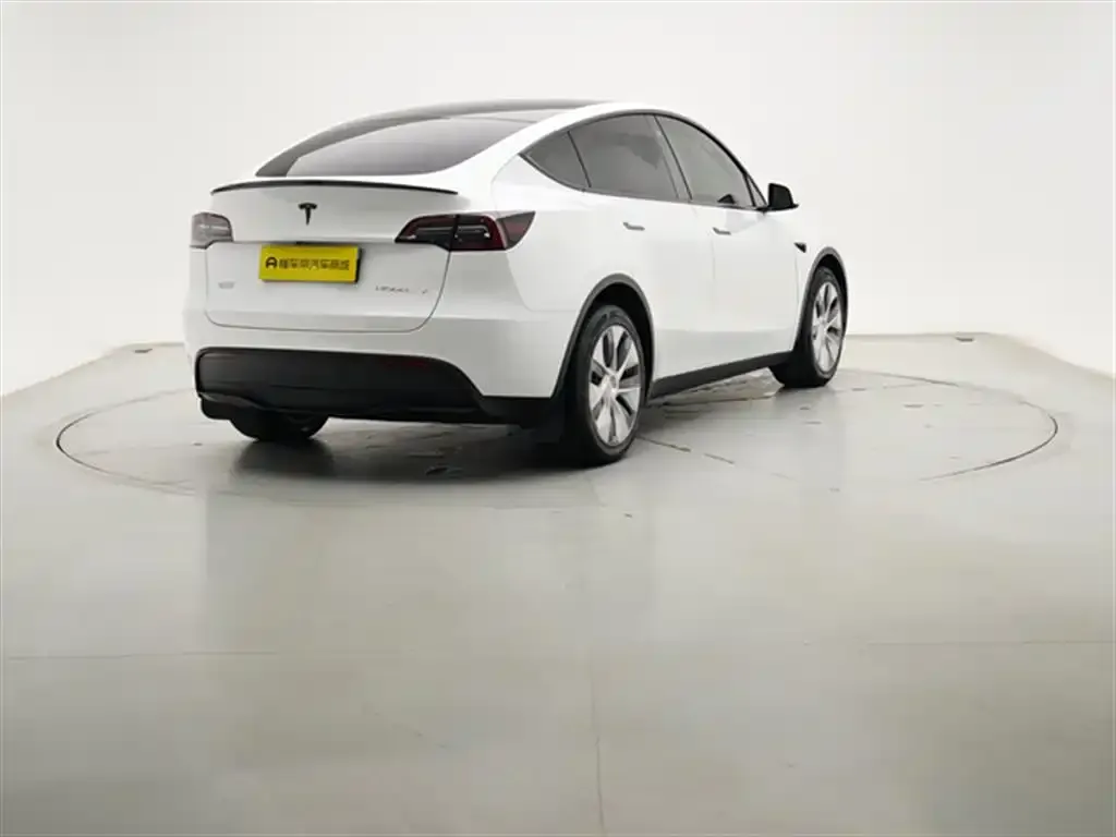 Tesla Model Y 2022 из CN, фото 6