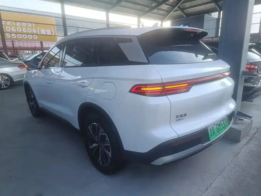 BYD Pro New Energy — фото 6