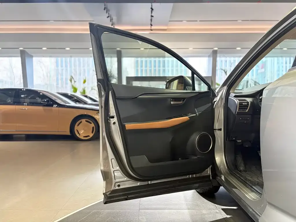 Lexus NX 2021 из CN, фото 8