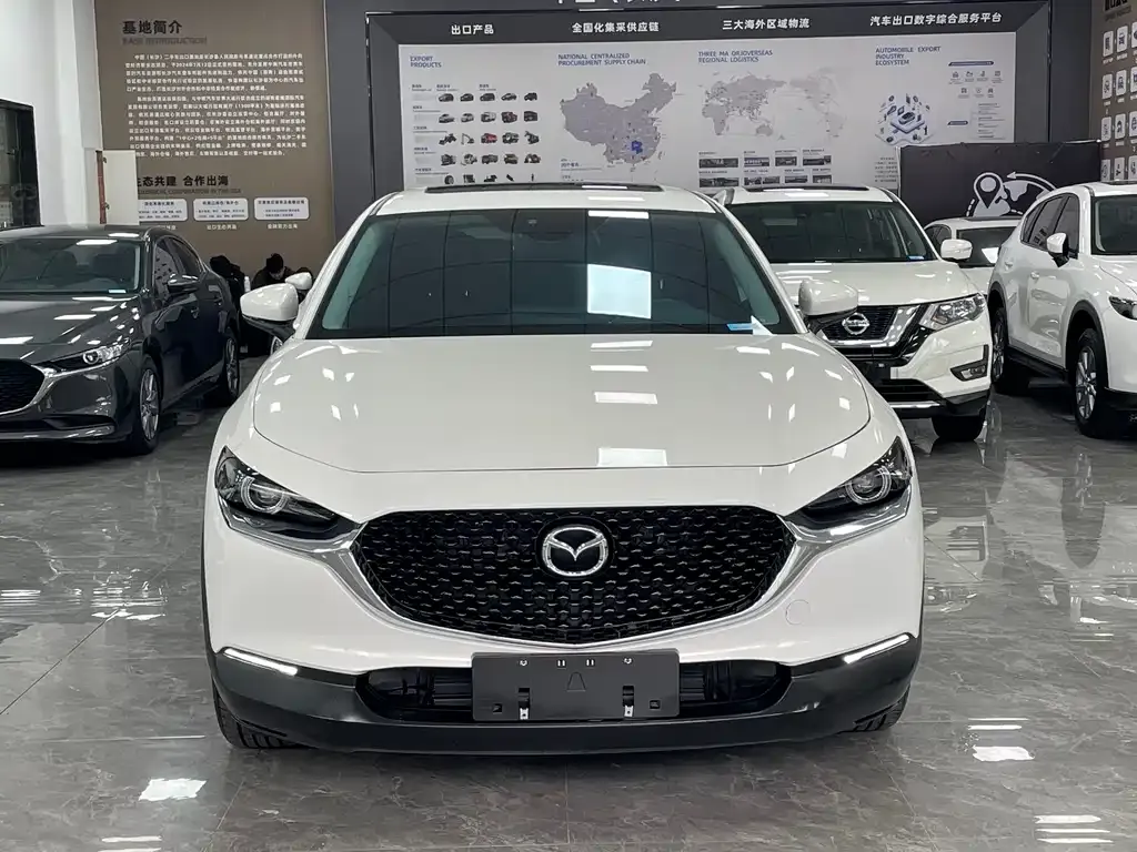 Mazda CX-30 2021 из CN, фото 6
