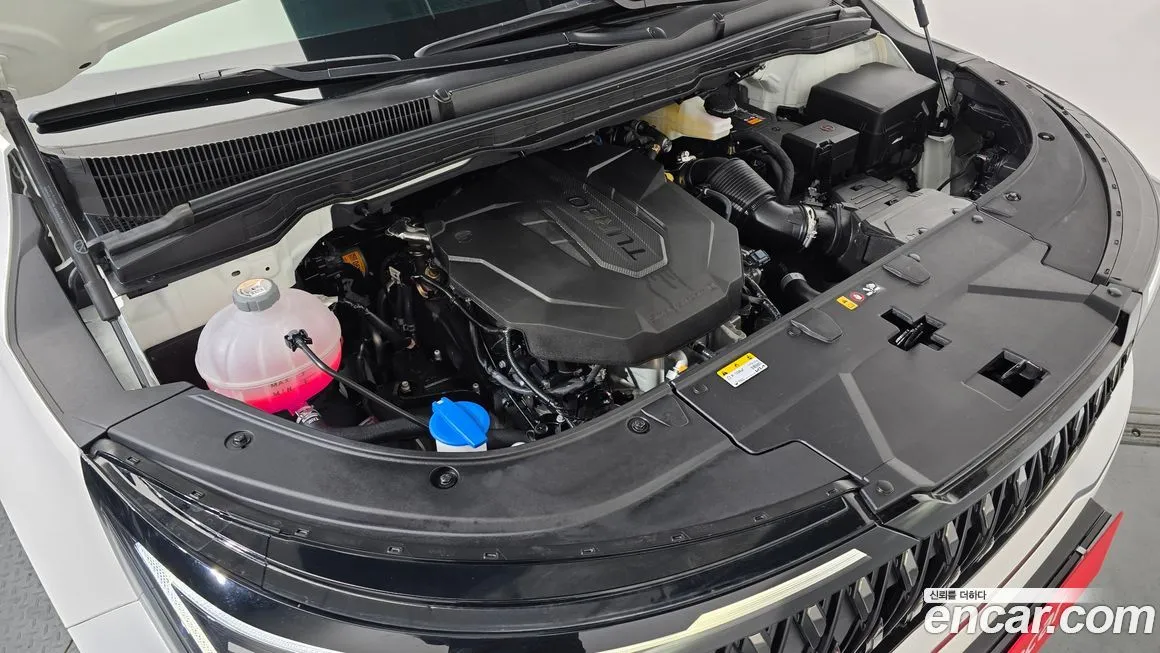 Kia Carnival — фото 10