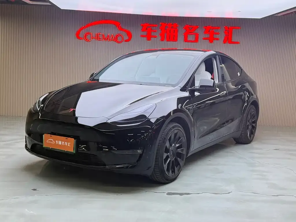 Tesla Model Y 2021 из CN, фото 1