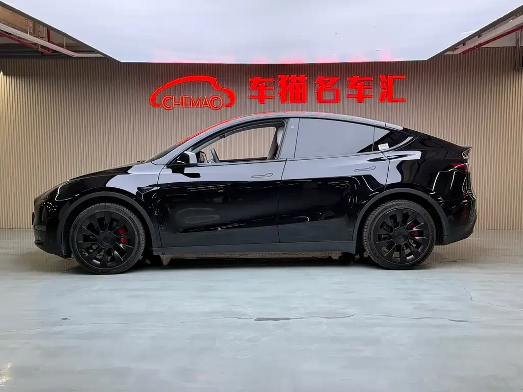 Tesla Model Y 2021 из CN, фото 10