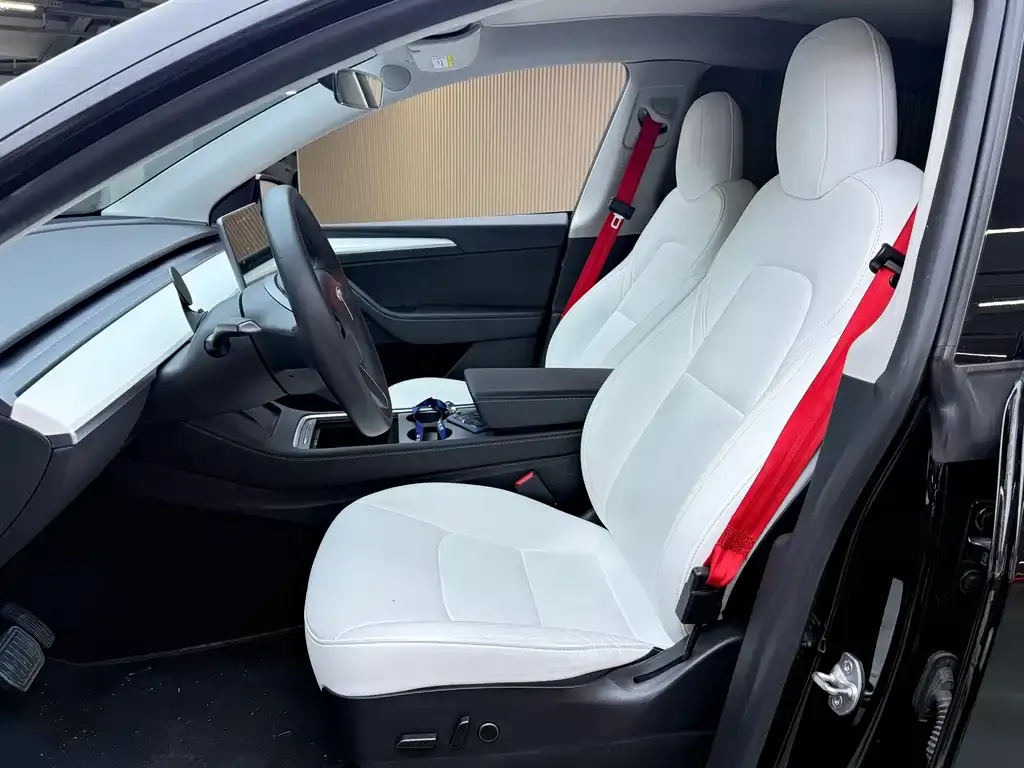 Tesla Model Y 2021 из CN, фото 5