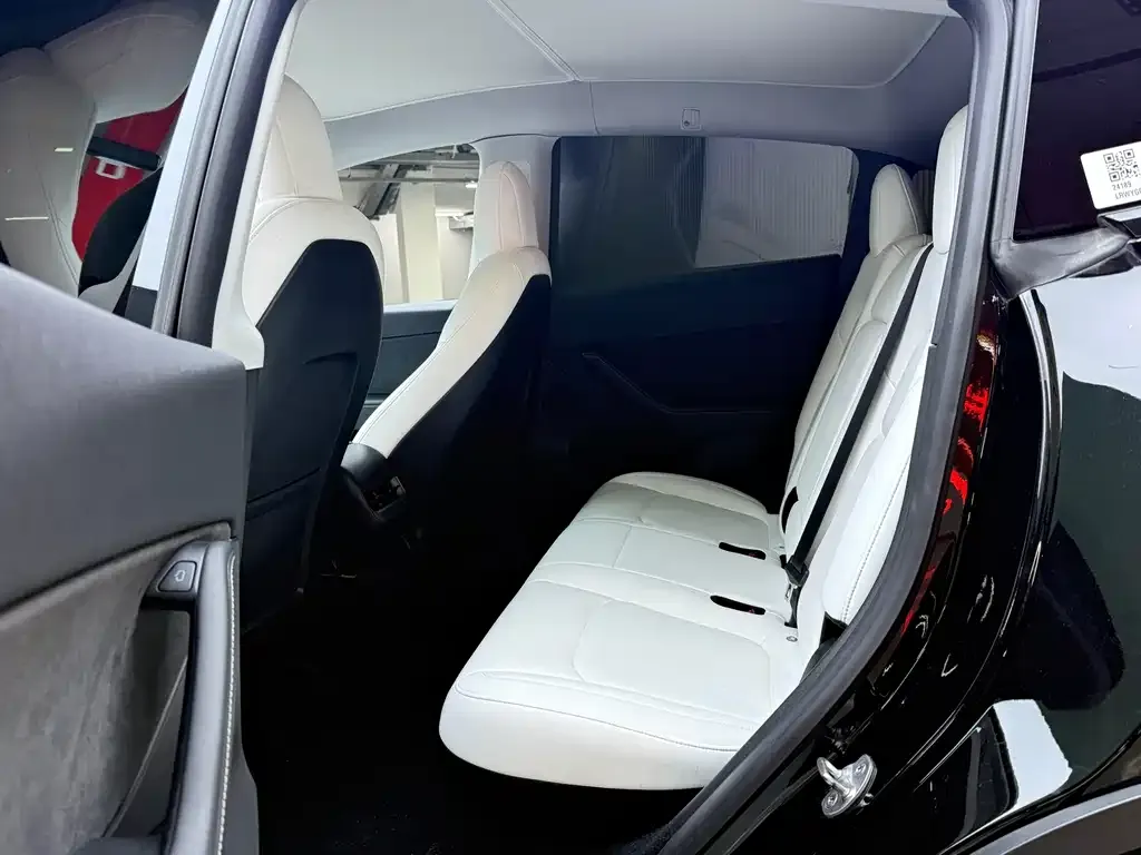 Tesla Model Y 2021 из CN, фото 2