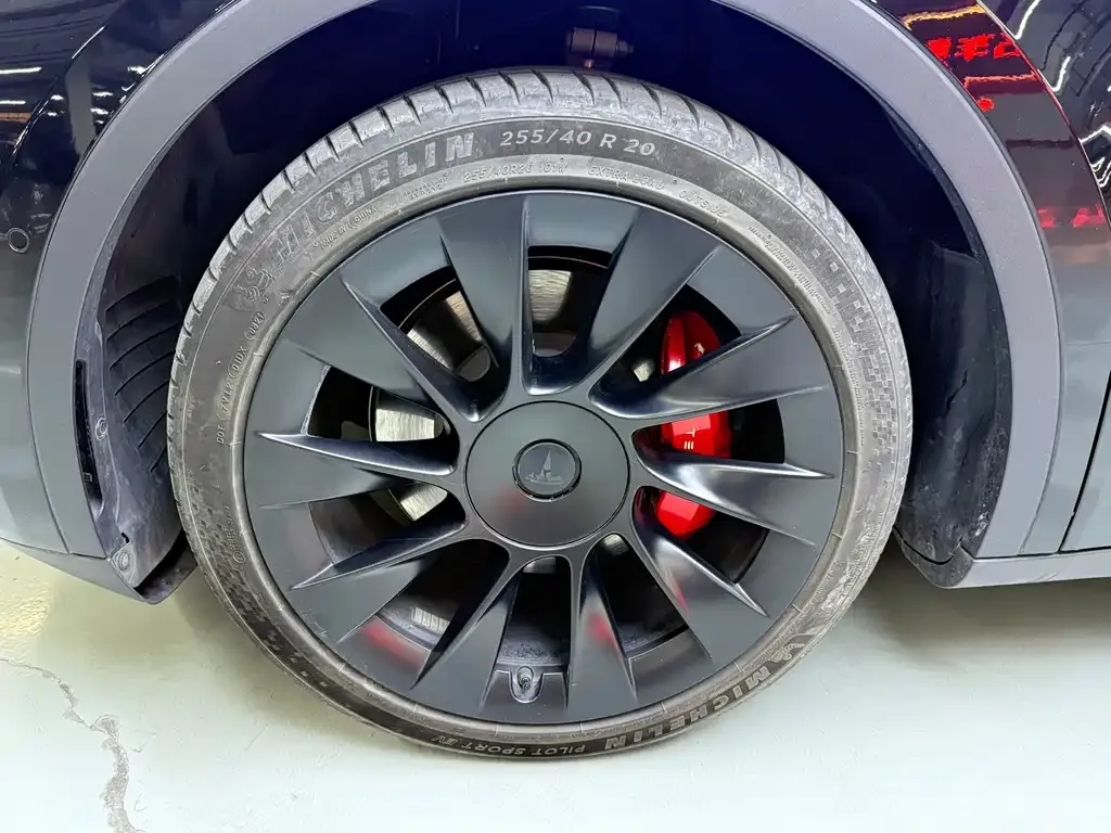 Tesla Model Y 2021 из CN, фото 7