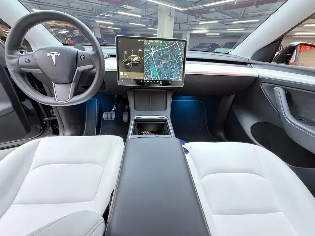 Tesla Model Y 2021 из CN, фото 8