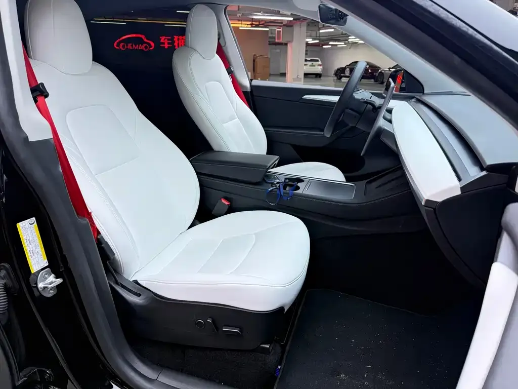 Tesla Model Y 2021 из CN, фото 3