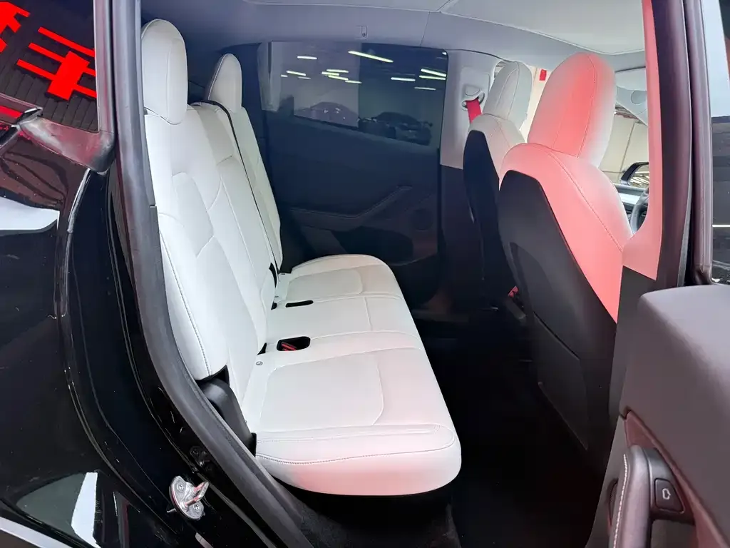 Tesla Model Y 2021 из CN, фото 9