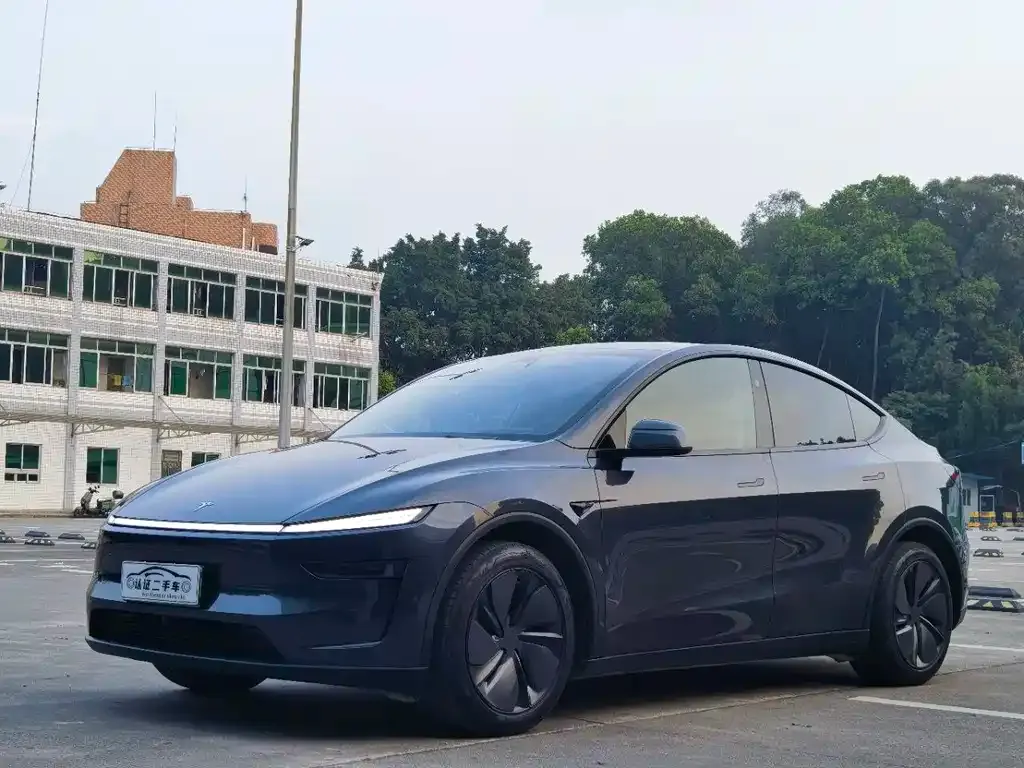 Tesla Model Y 2025 из CN, фото 1