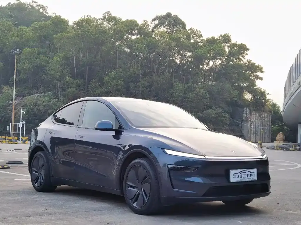 Tesla Model Y 2025 из CN, фото 4