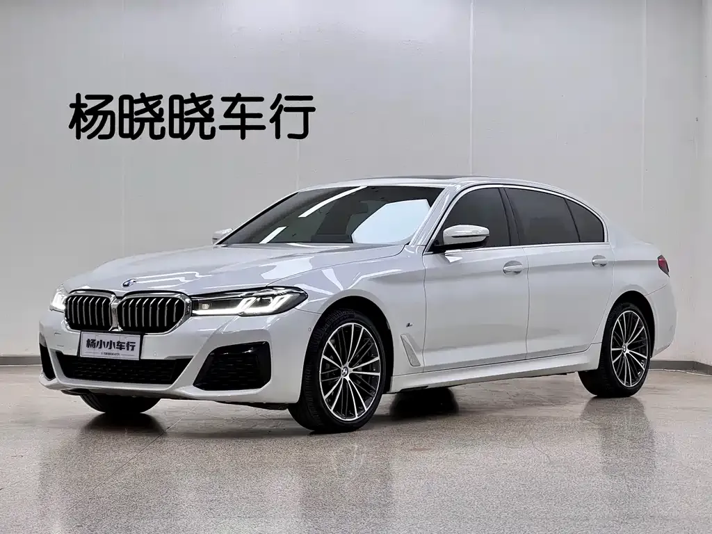 BMW 5 Series 2021 из CN, фото 1