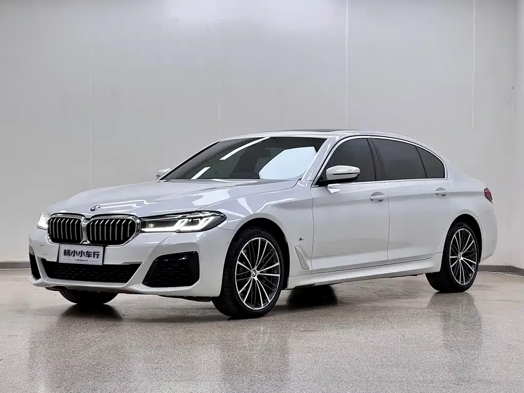 BMW 5 Series 2021 из CN, фото 3