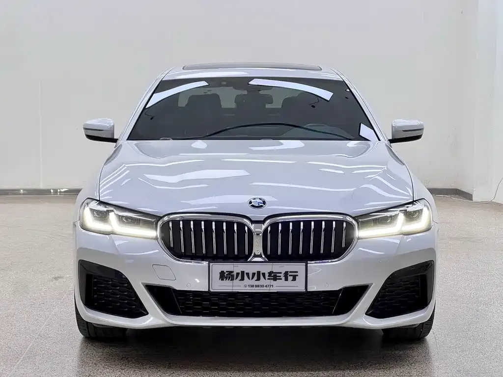 BMW 5 Series 2021 из CN, фото 9