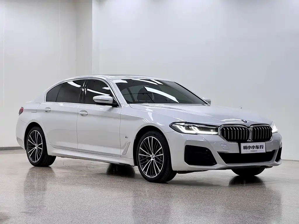 BMW 5 Series 2021 из CN, фото 2
